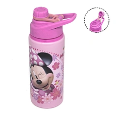 single wall stainless steel bottle